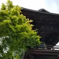 放光寺の写真_141252