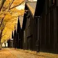 山居倉庫の写真_14136