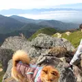 赤岩の頭の写真_14173