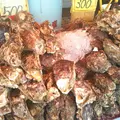 那珂湊おさかな市場の写真_141763