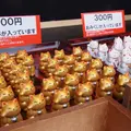 酒列磯前神社の写真_14243