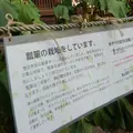 豊国神社の写真_142434