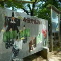 新熊野神社の写真_142482