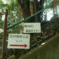 新熊野神社の写真_142483