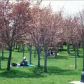 モエレ沼公園の写真_143754