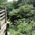 等々力不動尊の写真_144382