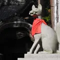 あちこちに「おきつね様」の写真_14464