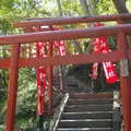 鶴岡八幡宮の写真_14494