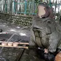 何故かカエル像が多いの写真_14528