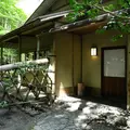 椿大神社の写真_14530
