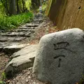 養老の滝の写真_14559