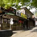 養老の滝の写真_14569