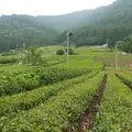 岐阜のマチュピチュの写真_145951