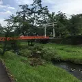 熊野大社の写真_146868
