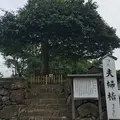 八重垣神社の写真_146877