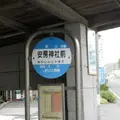 安房神社の写真_14729