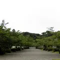 安房神社の写真_14730
