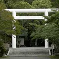 安房神社の写真_14733