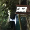 河津七滝巡りの写真_147393