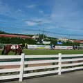 門別競馬場の写真_148475