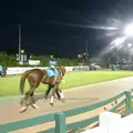 門別競馬場の写真_148476