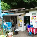 七沢森林公園の写真_148601