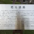静岡県草薙総合運動場硬式野球場の写真_14879