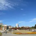 金沢城公園の写真_14899