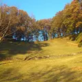 七沢森林公園の写真_14900
