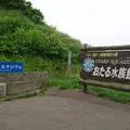 おたる水族館の写真_149571