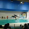 おたる水族館の写真_149574