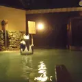 ホテル かめ福の写真_14967