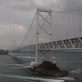 渦の道の写真_14987