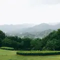 七沢森林公園の写真_150634