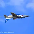 航空自衛隊入間基地の写真_15068