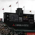 阪神甲子園球場の写真_15150