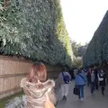 銀閣寺(東山慈照寺)の写真_15271