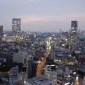 東京タワーの写真_15294