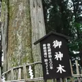 戸隠神社中社の写真_155254