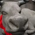 桜天神社の写真_15529