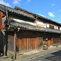 角長の写真_155835