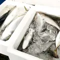 マルヨ商店の写真_15612