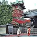くろちく産寧坂店・青龍苑の写真_156648