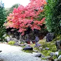 くろちく産寧坂店・青龍苑の写真_156649