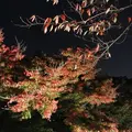 清水寺の写真_15878