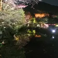 清水寺の写真_15931