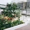 ラスカ熱海の写真_159775