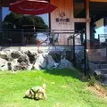 愛犬の駅 伊豆高原の写真_159876