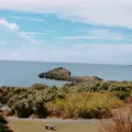 東平安名崎の写真_159936
