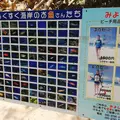 新城海岸の写真_160041